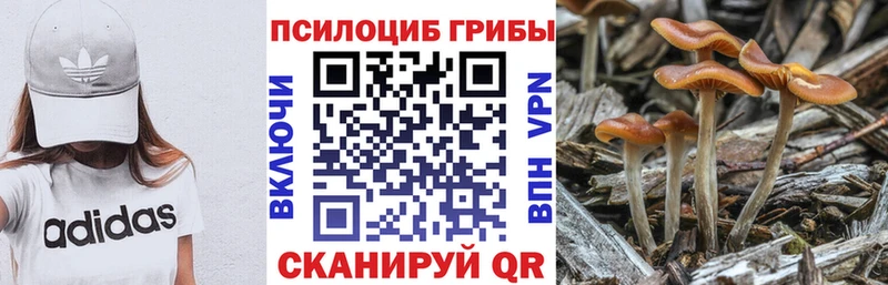 Галлюциногенные грибы Magic Shrooms  darknet телеграм  Кизел  блэк спрут  